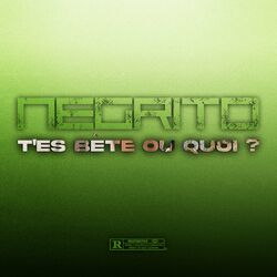 Cover of T'es bête ou quoi ?