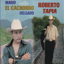 Cover of Simplemente Voz a Voz