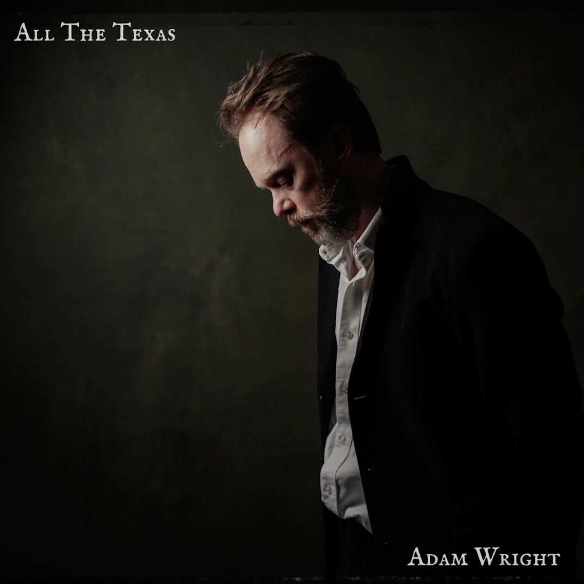 Album cover of All The Texas (feat. Patty Griffin)
