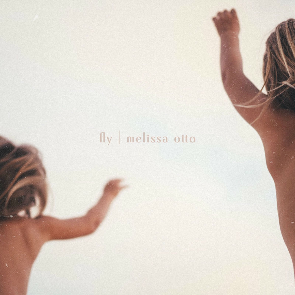 Album cover of Fly