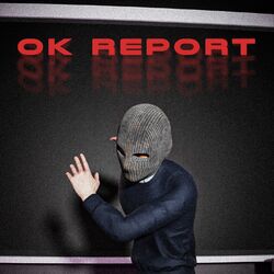 Cover of OK REPORT