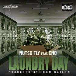 Cover of Laundry Day