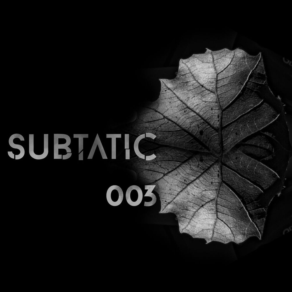 Picture of Subtatic 003