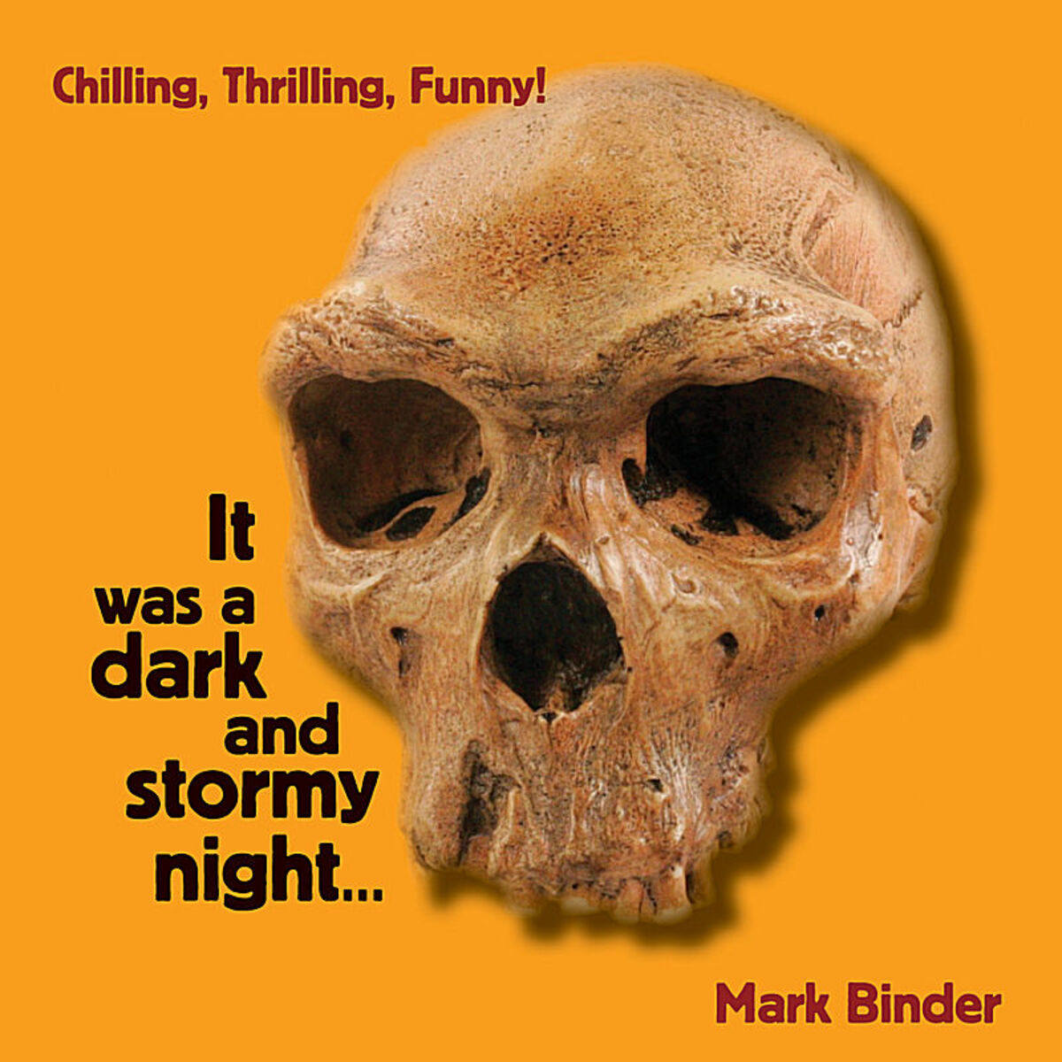 Album cover of It Was A Dark and Stormy Night