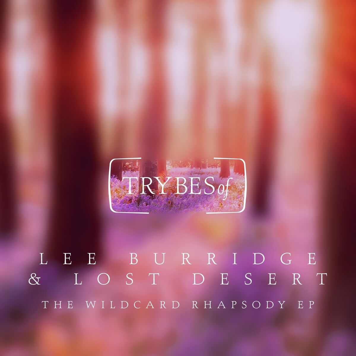 Album cover of The Wildcard Rhapsody EP
