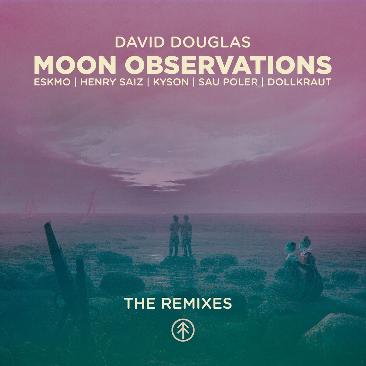 Album cover of Moon Observations (The Remixes)