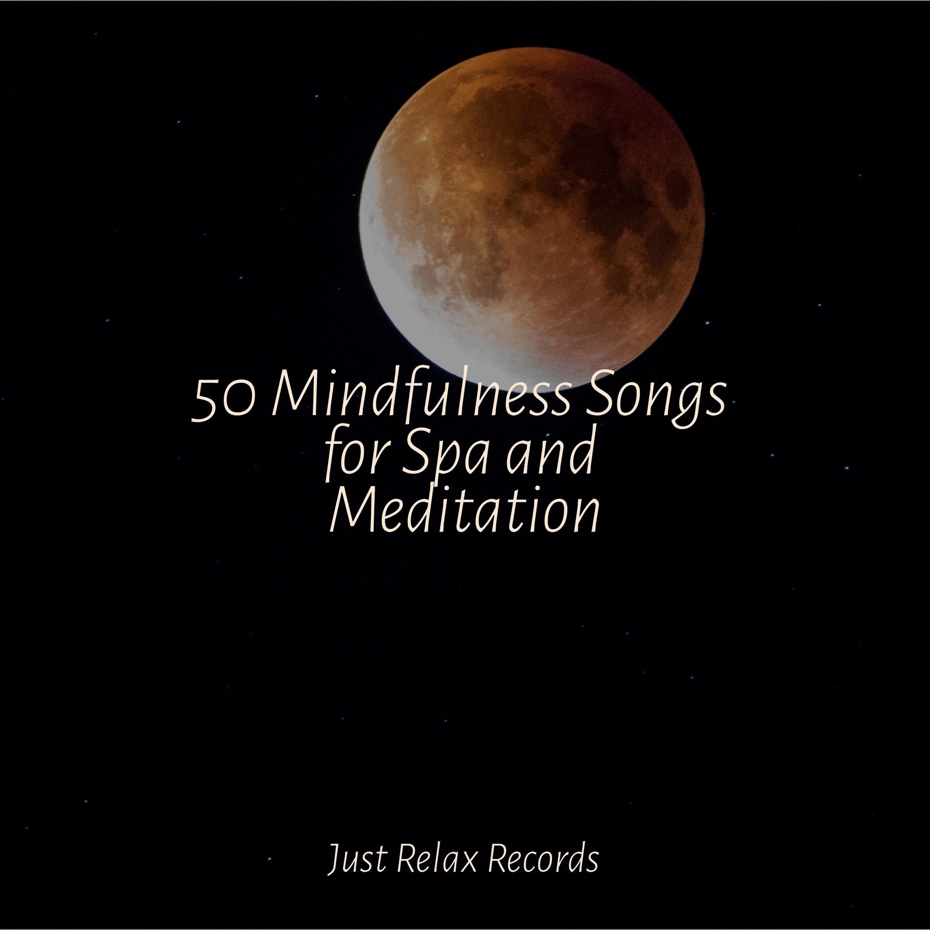 Album cover of 50 Mindfulness Songs for Spa and Meditation