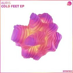 Cover of Cold Feet EP