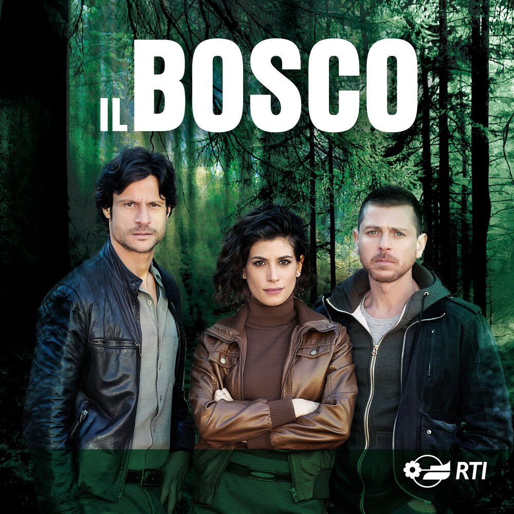 Picture of Il bosco (Colonna sonora originale della serie TV)