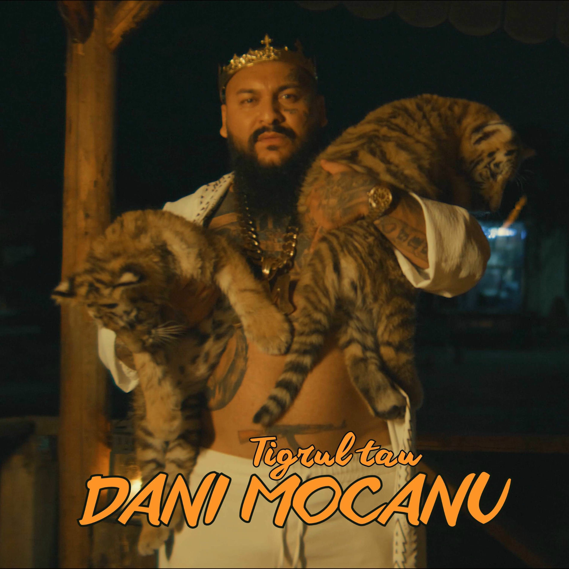 Album cover of Tigrul tau