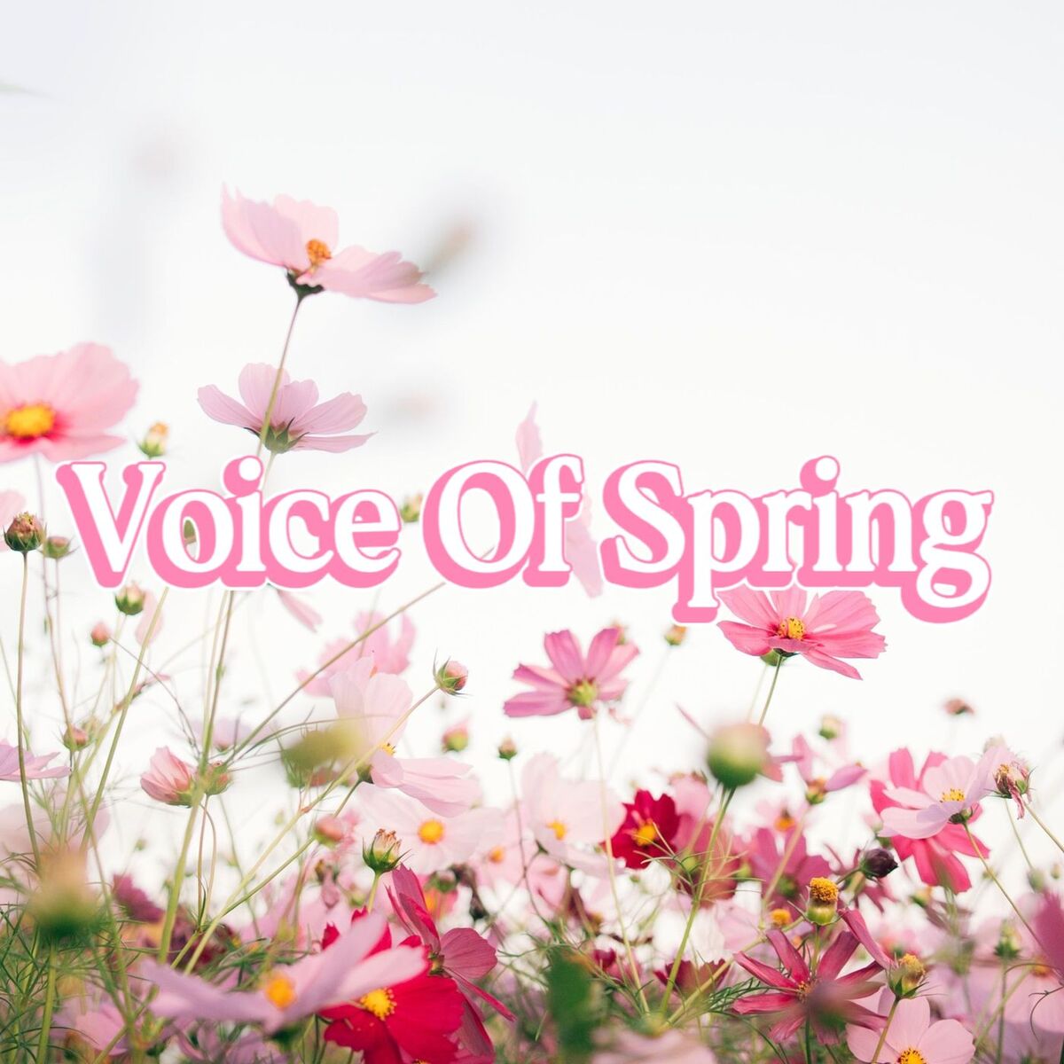 Album cover of Voice Of Spring