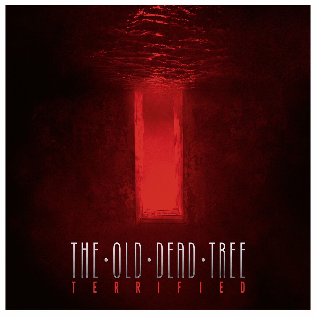 Album cover of Terrified