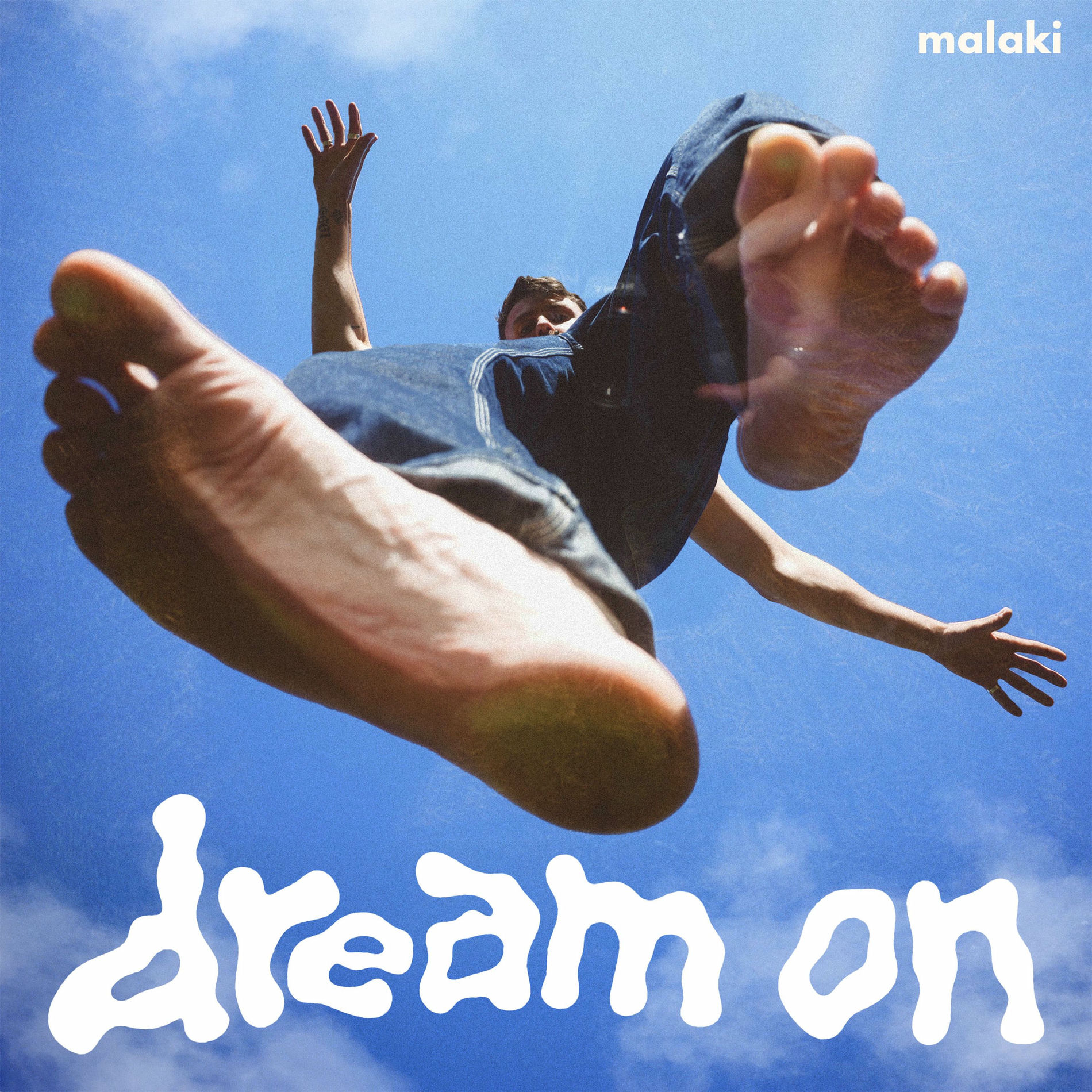 Album cover of Dream On