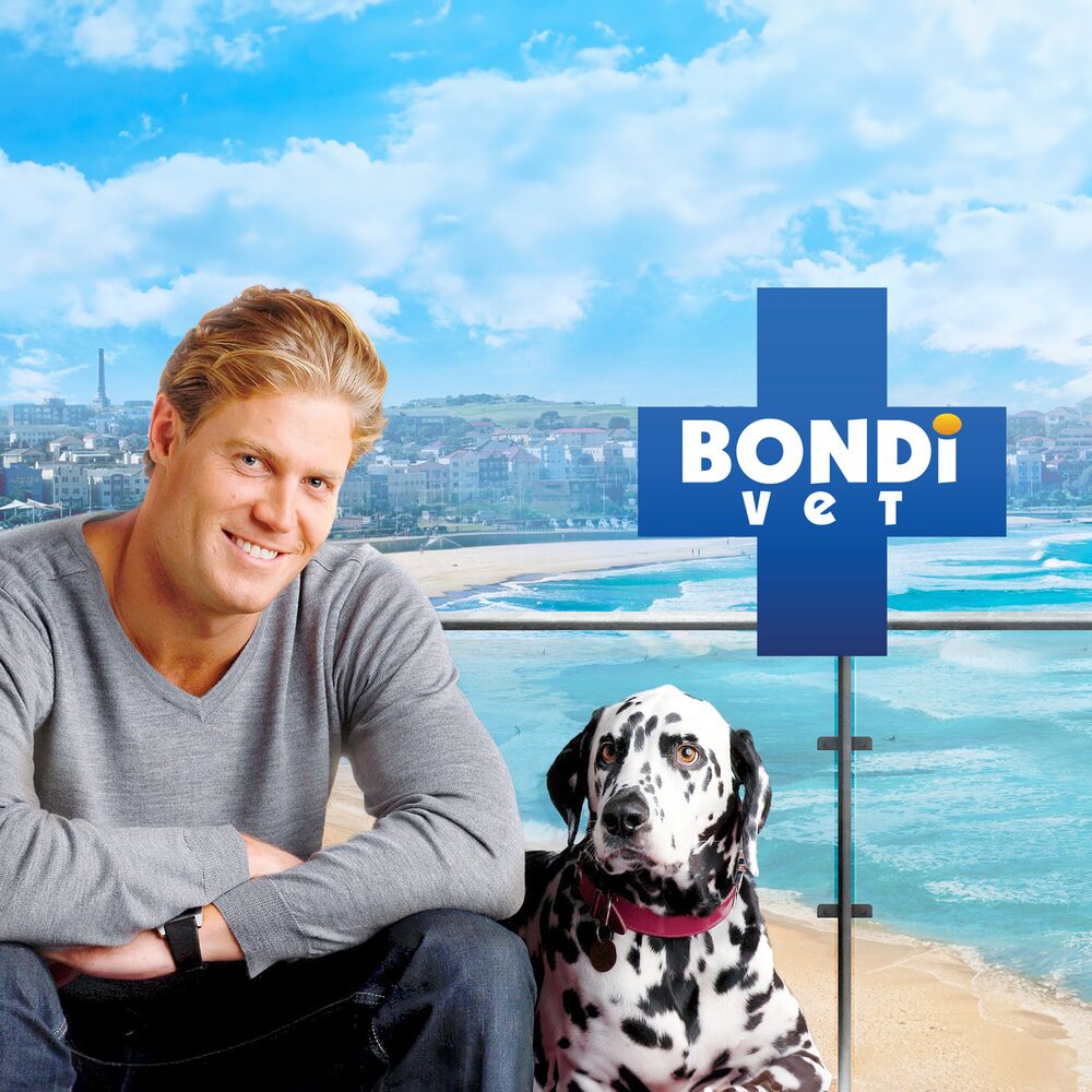 Picture of Bondi Vet TV Theme 2006 (Music from the Original TV Series)