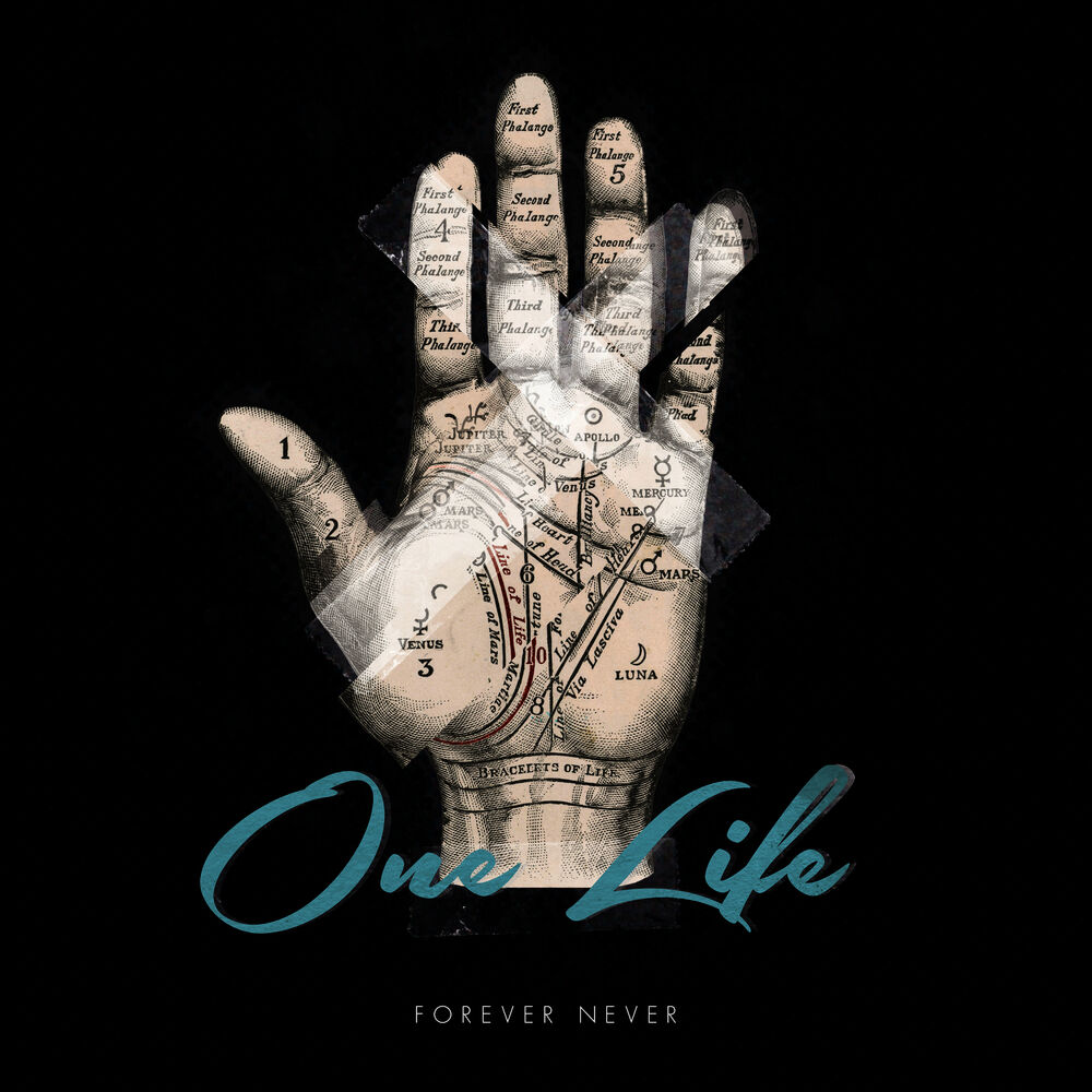 Picture of One Life