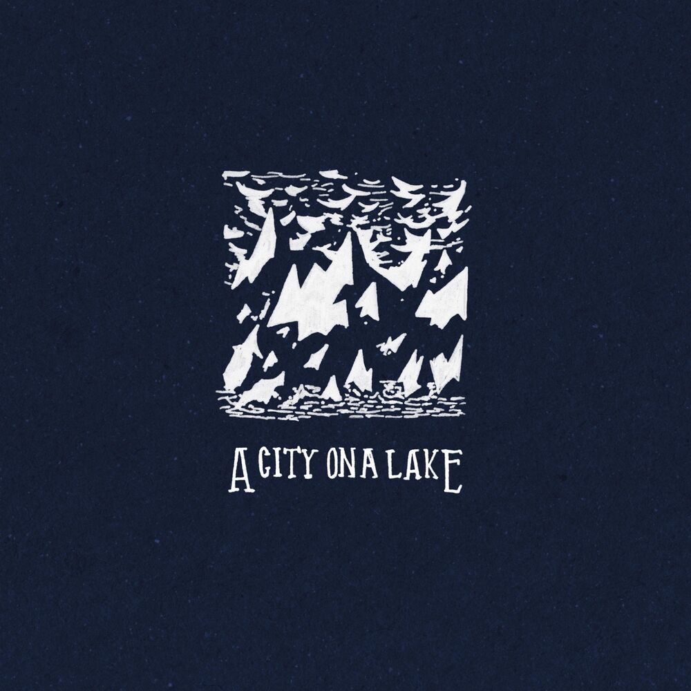 Picture of A City on a Lake