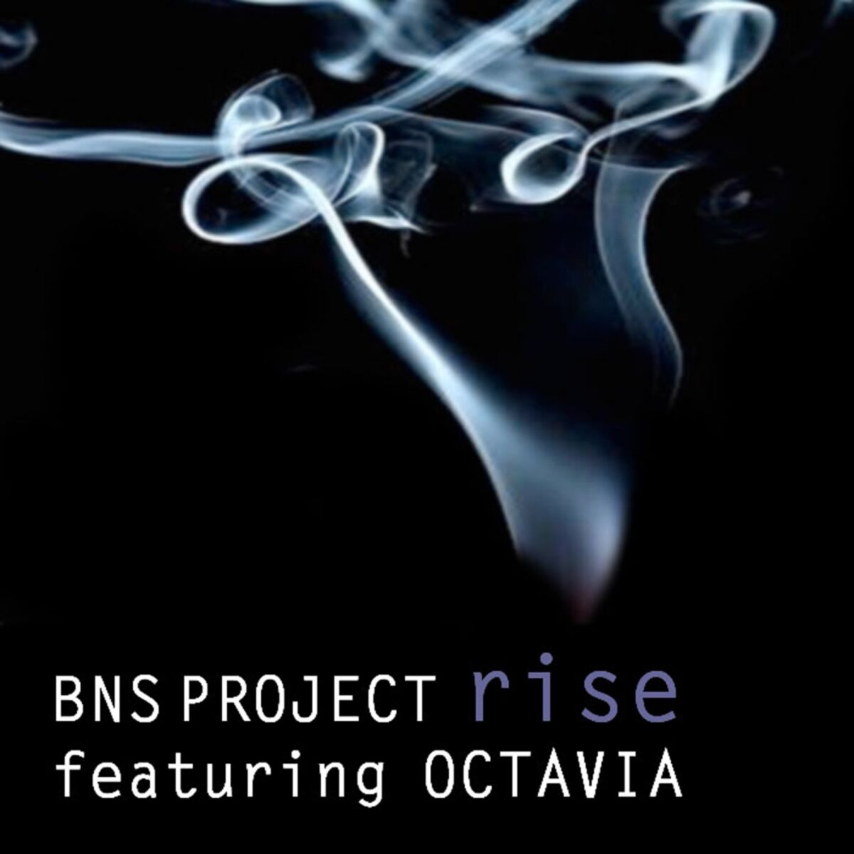 Album cover of Rise
