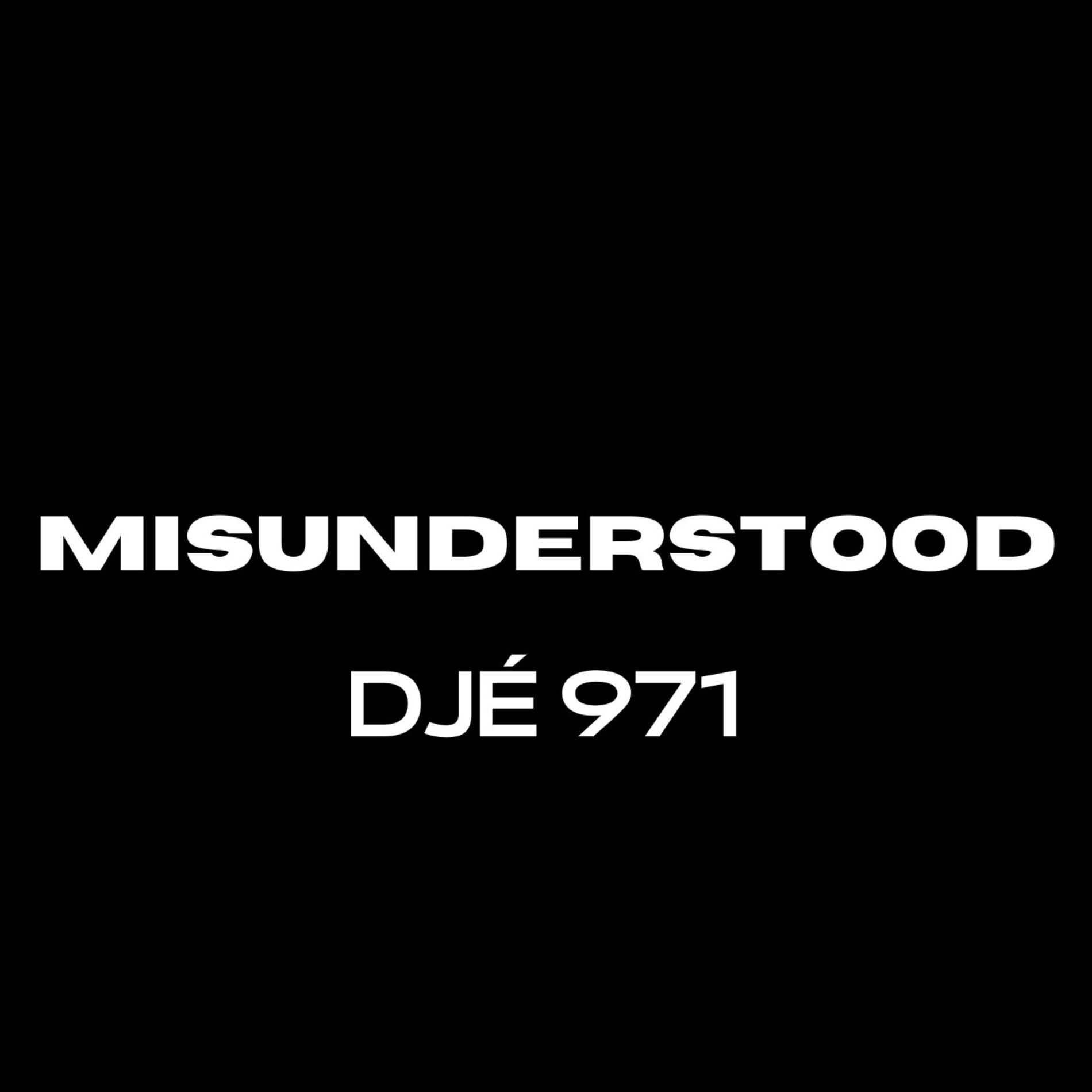 Album cover of MISUNDERSTOOD