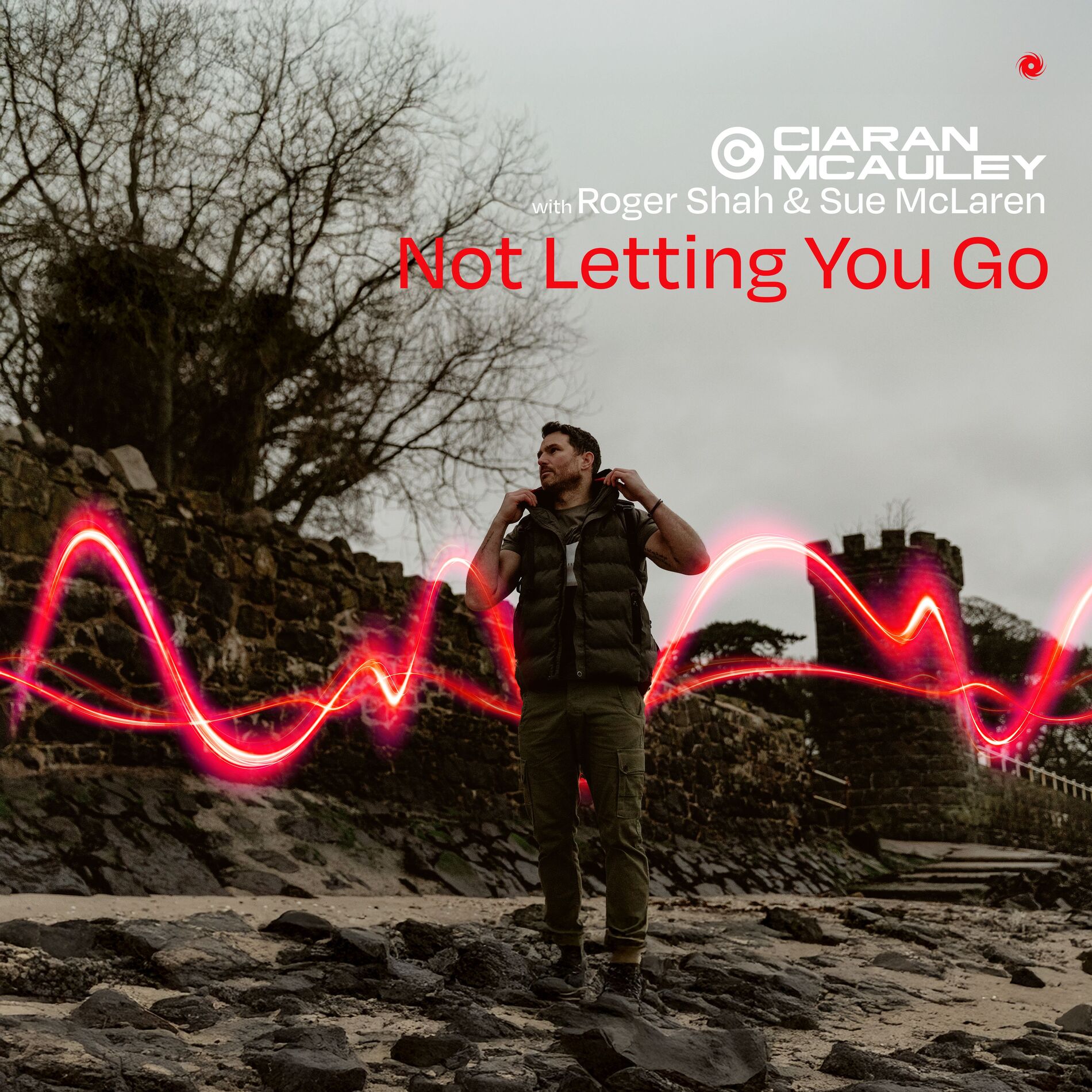 Album cover of Not Letting You Go