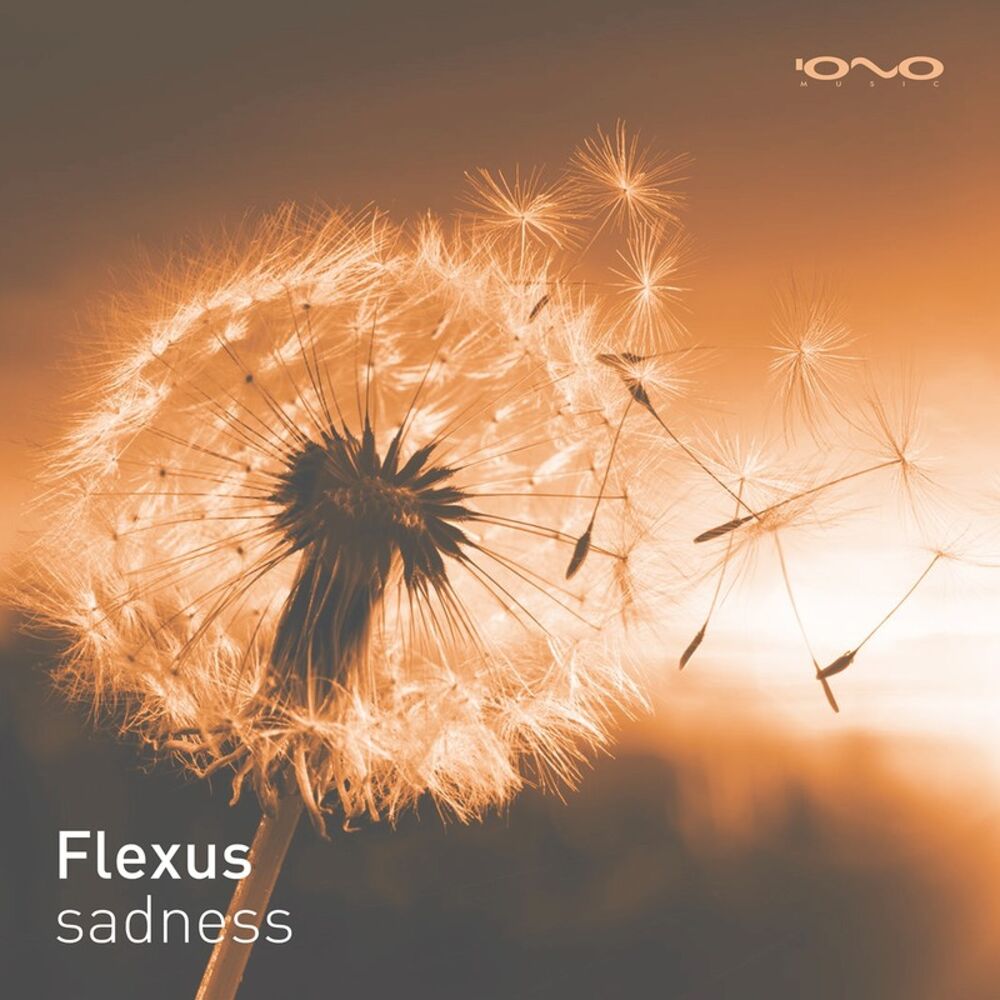 Picture of Sadness