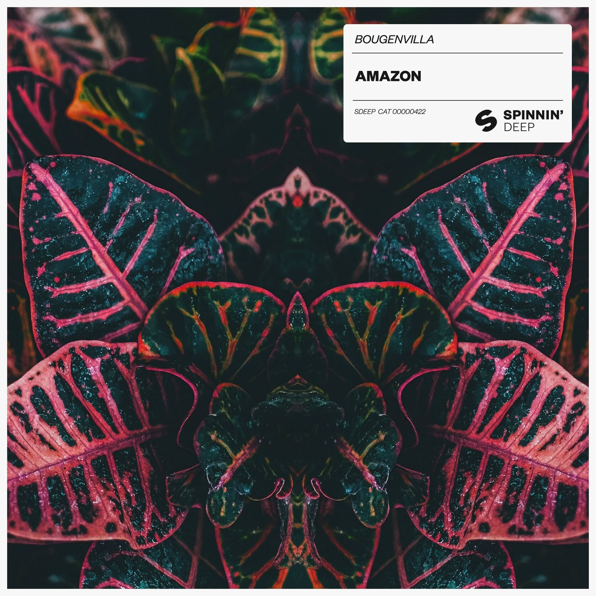 Album cover of Amazon
