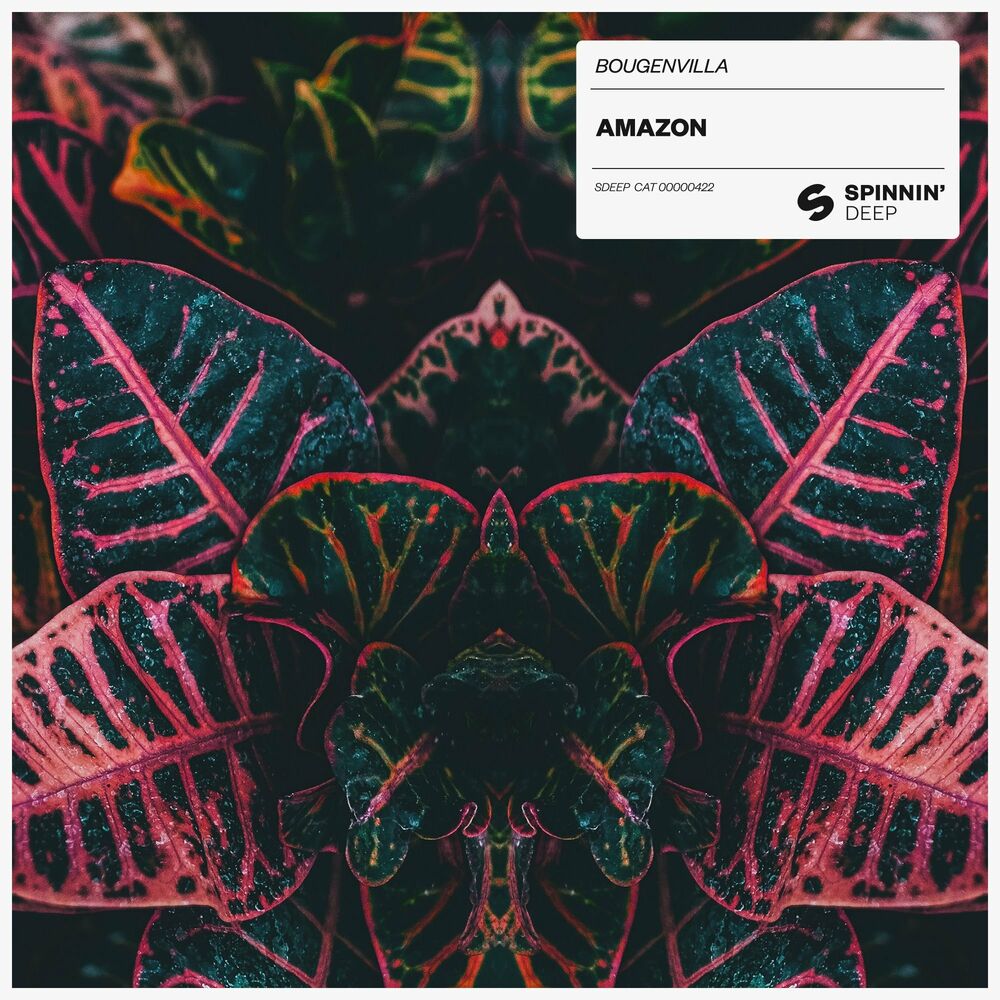 Picture of Amazon