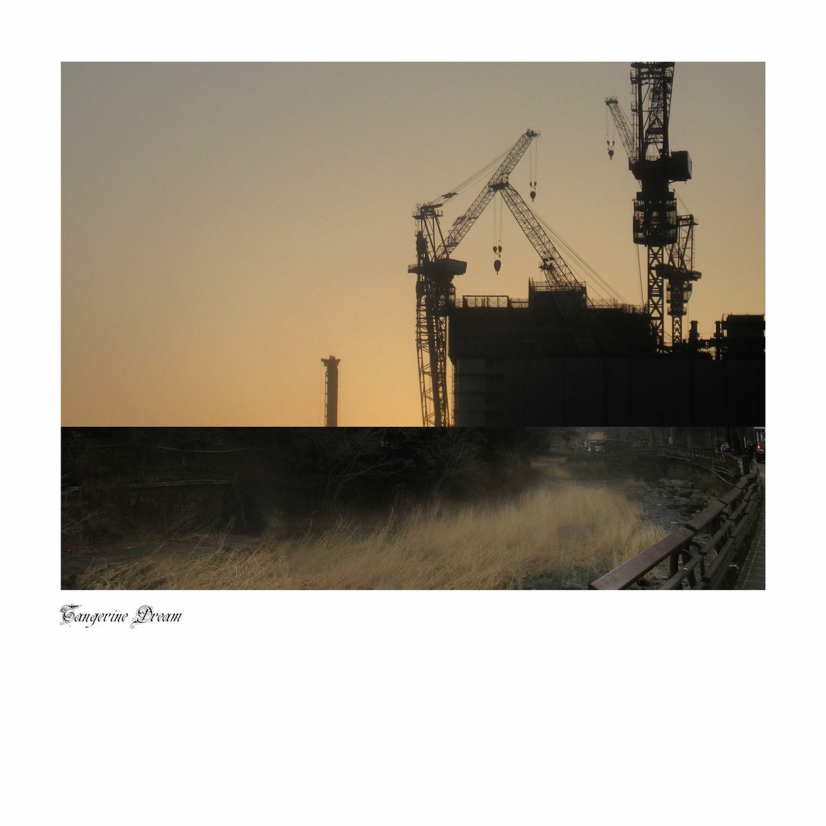Album cover of Tangerine Dream