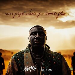 Cover of Never Forget Where You Come From
