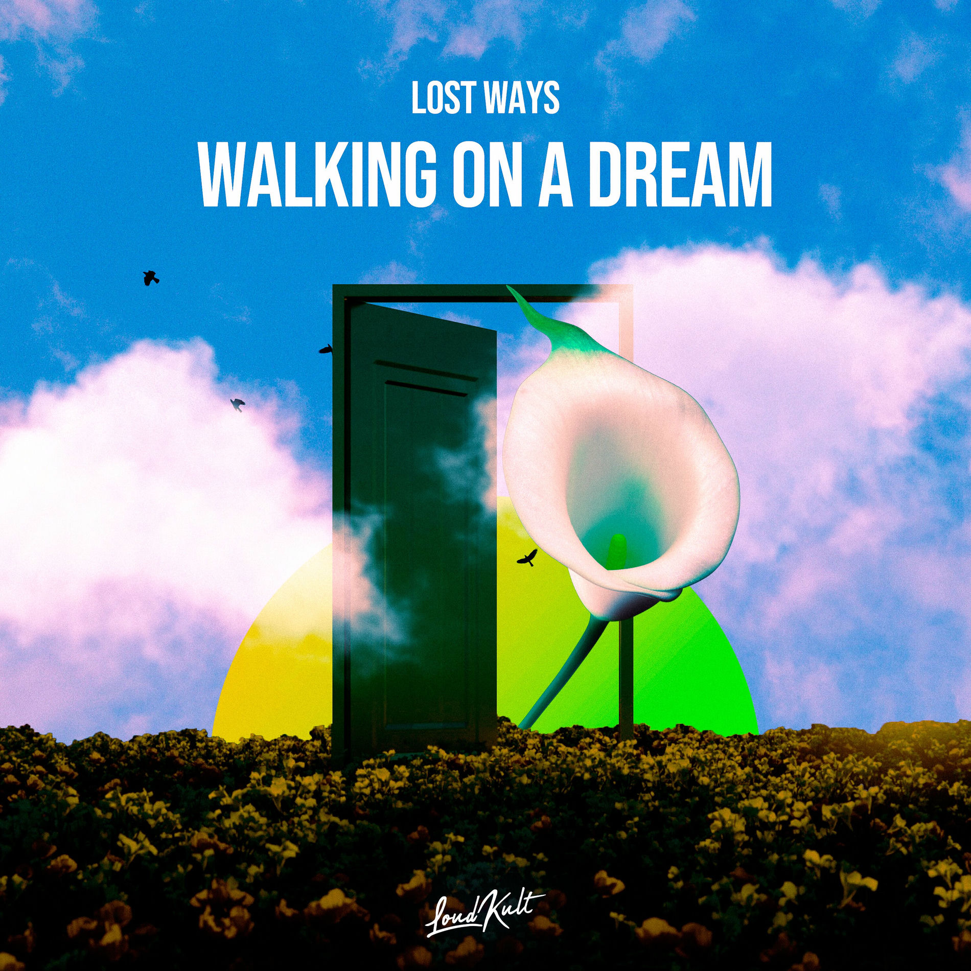 Album cover of Walking on a dream