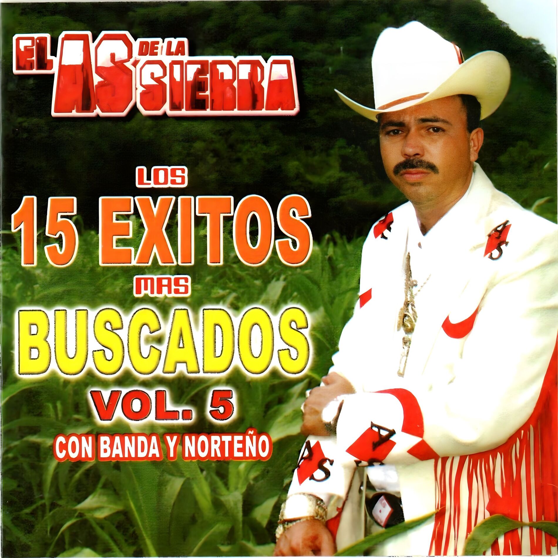 Album cover of Los 15 Exitos Mas Buscados (Vol. 5)
