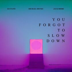Cover of You Forgot To Slow Down