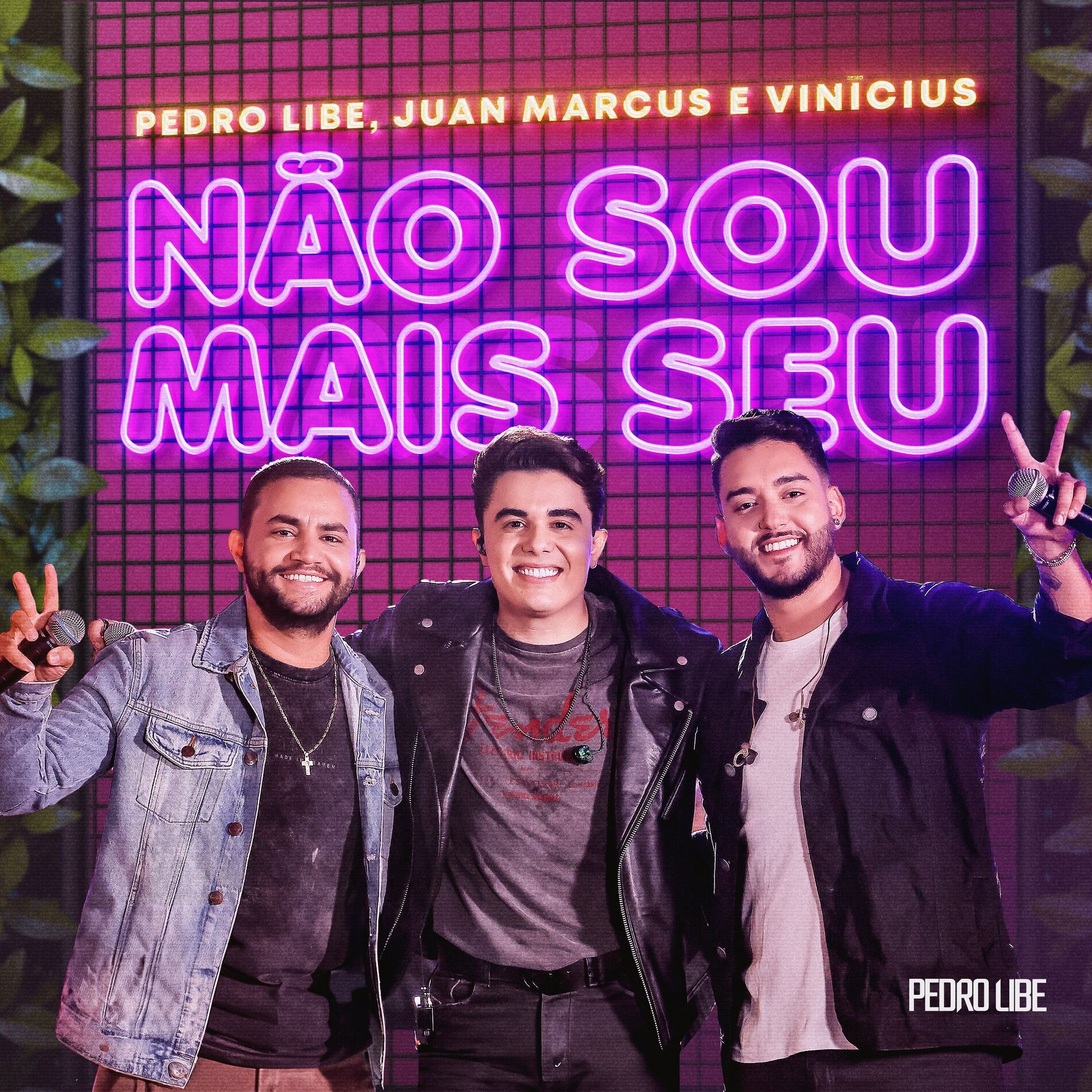 Album cover of Não Sou Mais Seu
