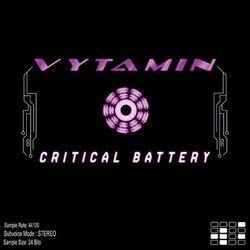Cover of Critical Battery