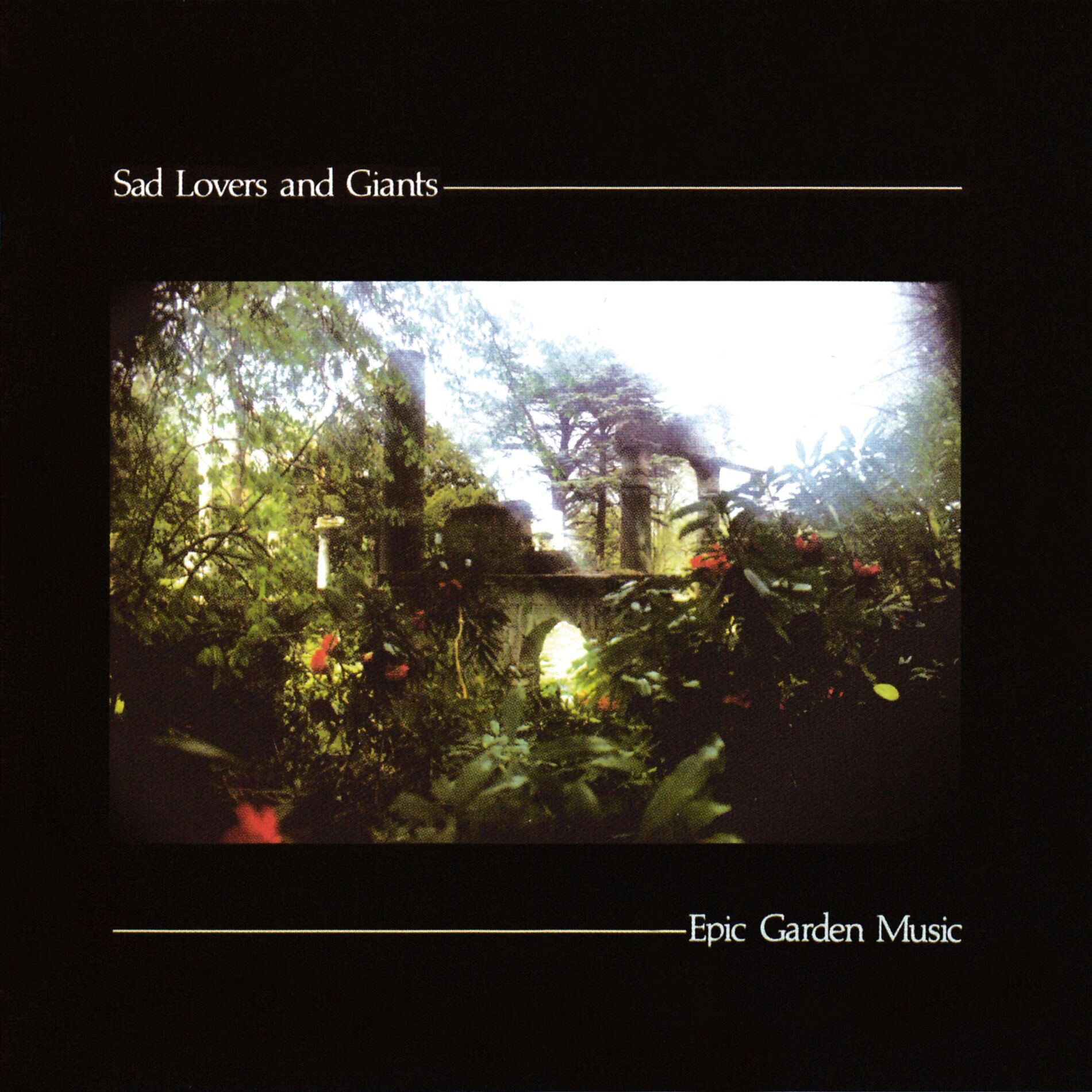 Album cover of Things We Never Did