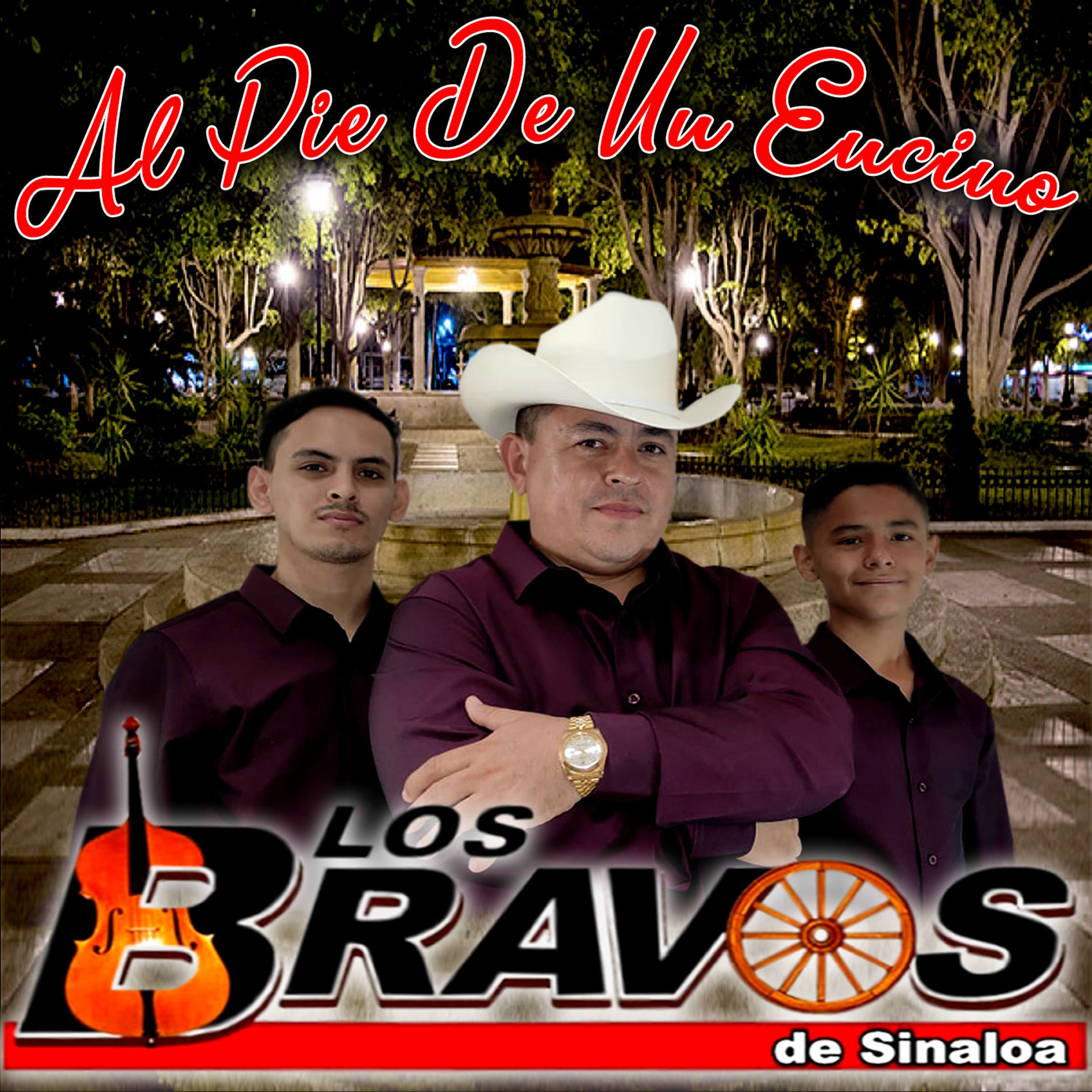 Album cover of Al Pie de un Encino