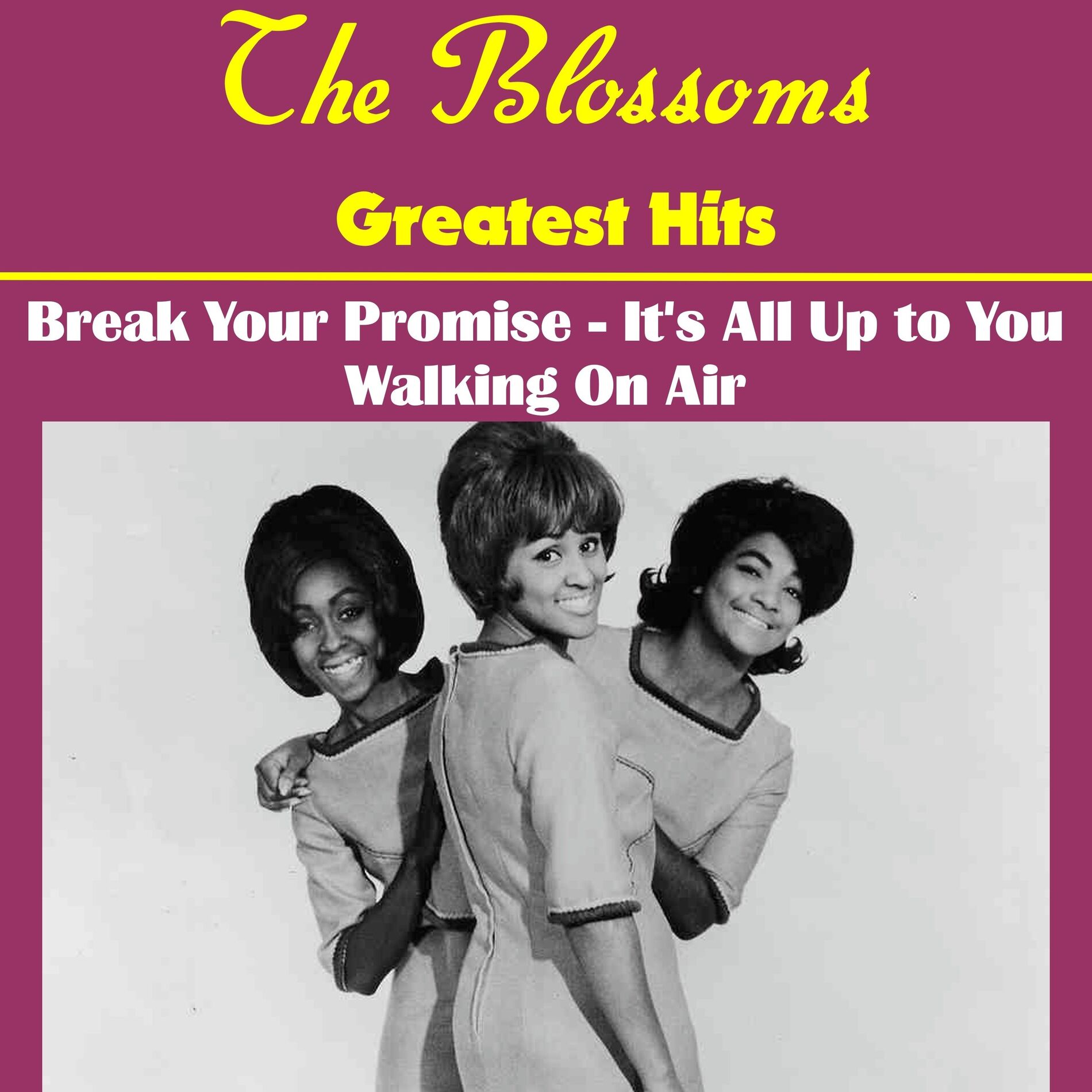 Album cover of Break Your Promise
