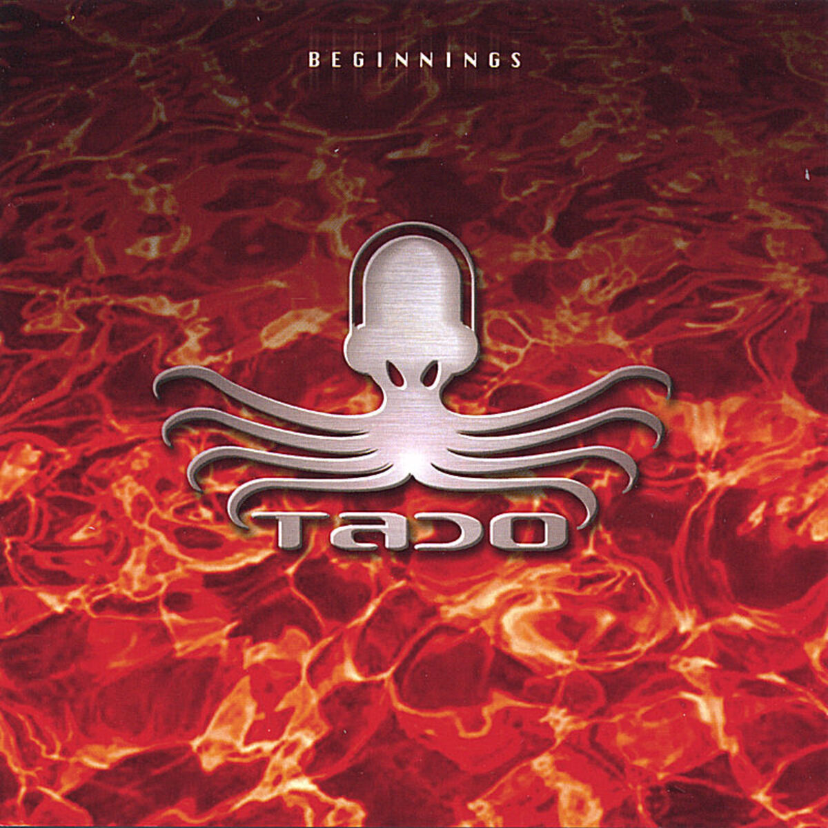 Album cover of Beginnings