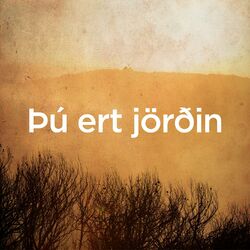 Cover of Bu ert Jördin