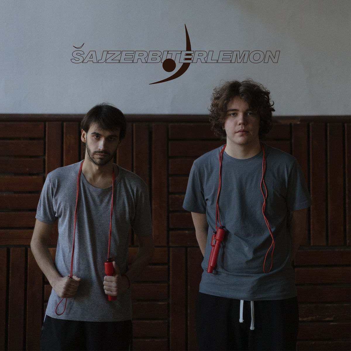 Album cover of Strepnja