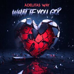 Cover of What if you go?
