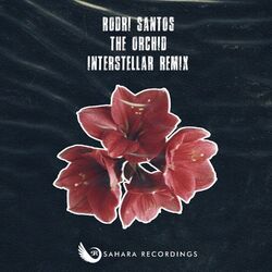 Cover of The Orchid