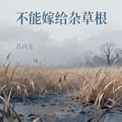 不能嫁给杂草根