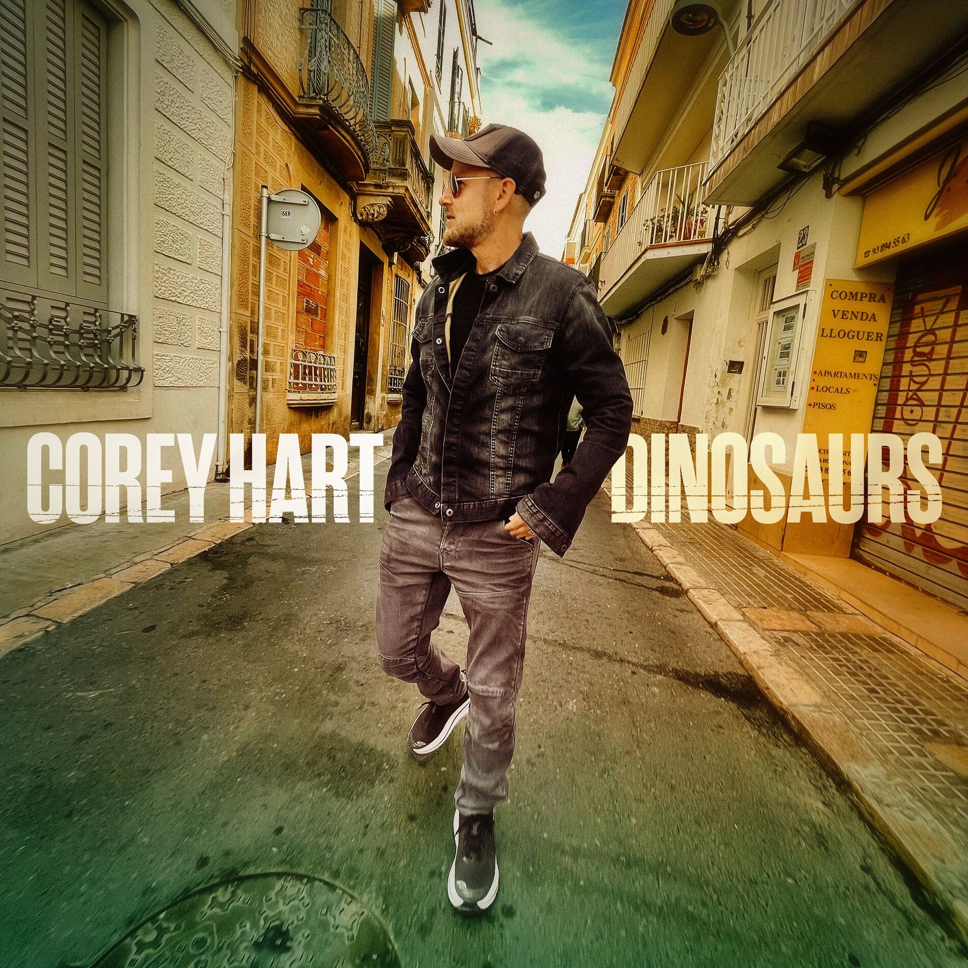 Album cover of Dinosaurs