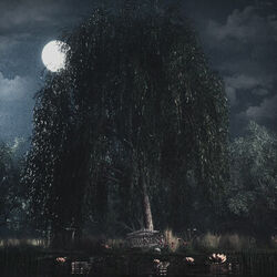 Cover of UnderTheWillowTree