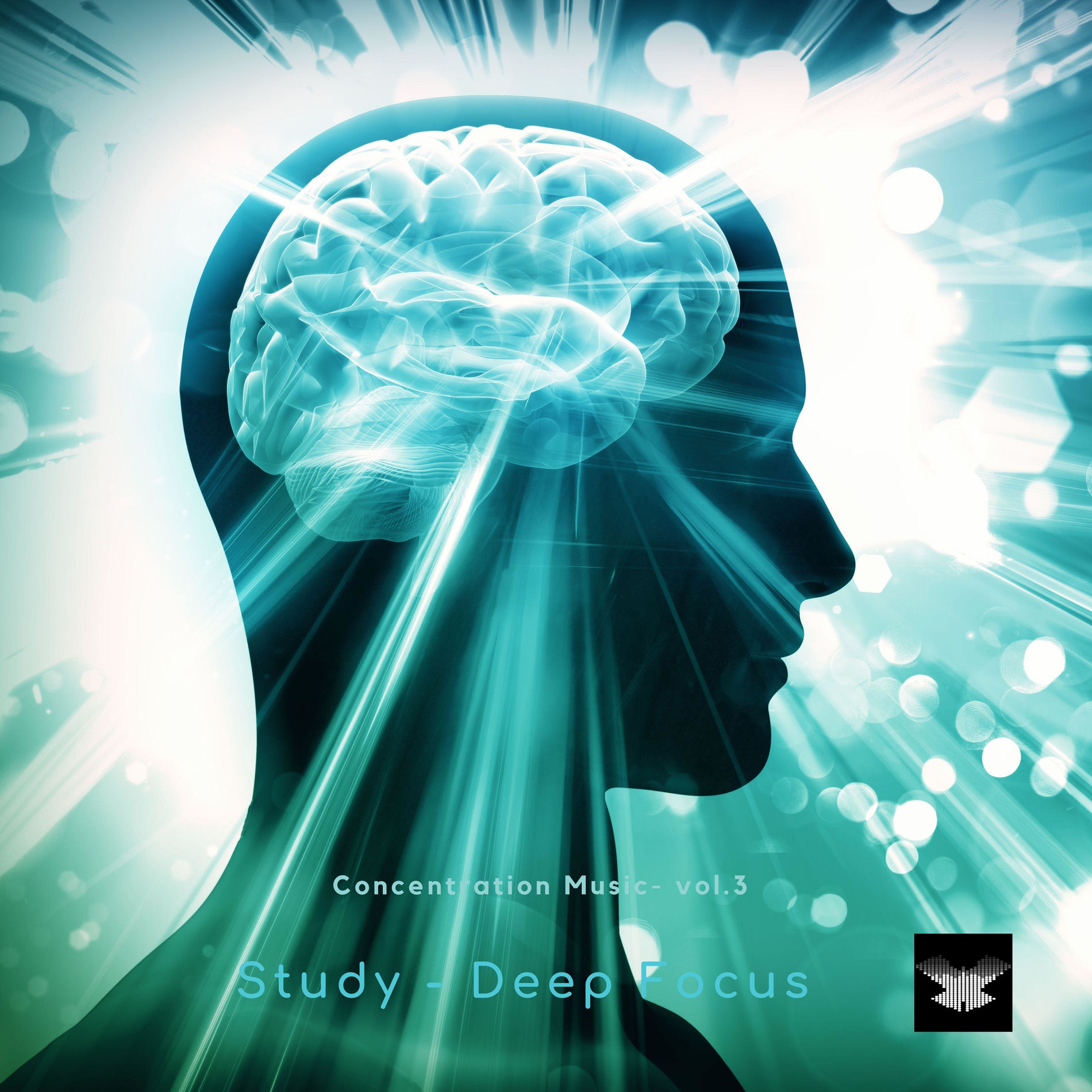 Butterfly Study – Deep Focus: albums, songs, concerts | Deezer