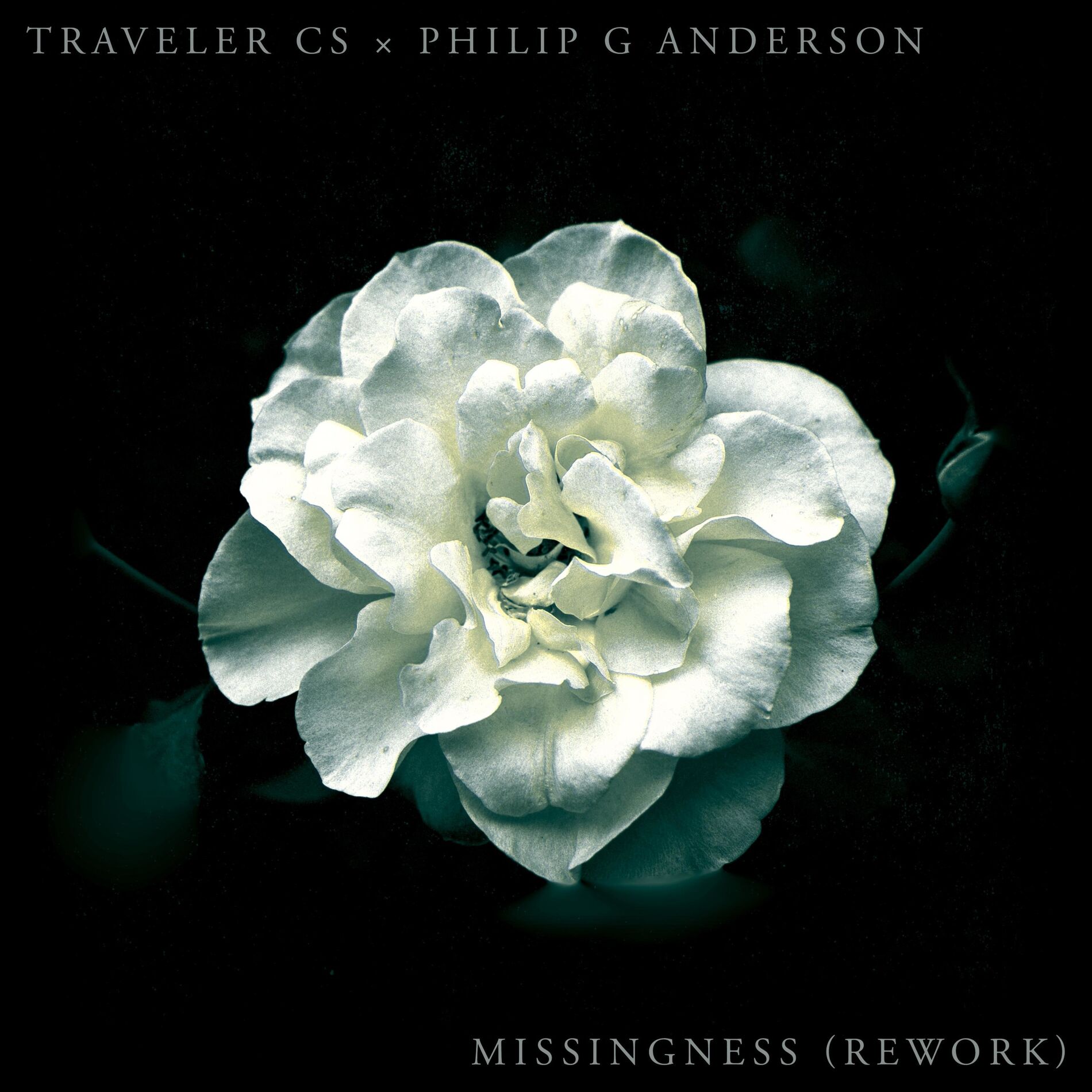 Album cover of Missingness (Philip G Anderson Rework) [feat. Philip G Anderson]
