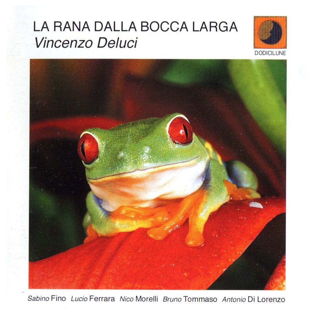 Picture of La rana dalla bocca larga