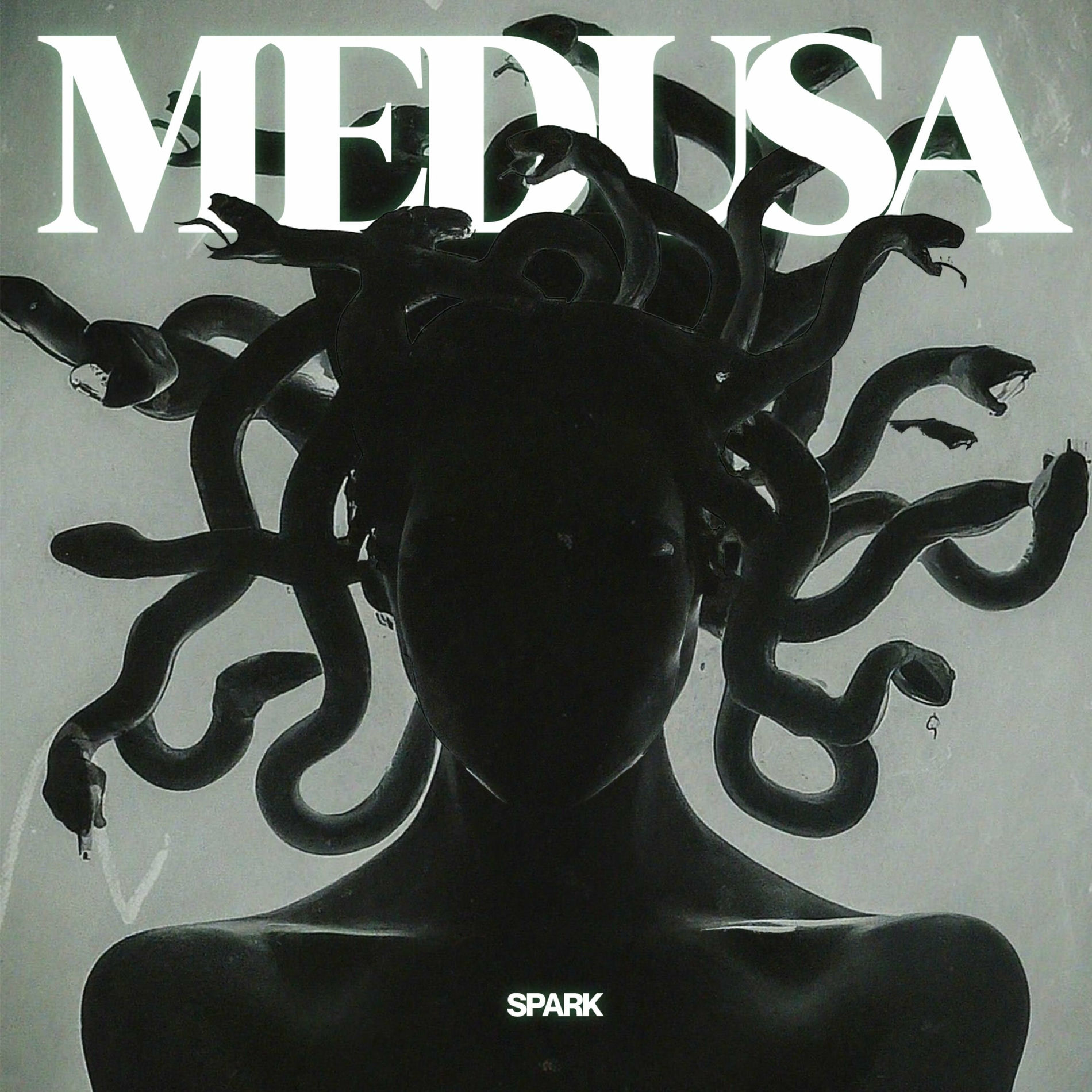 Album cover of Medusa