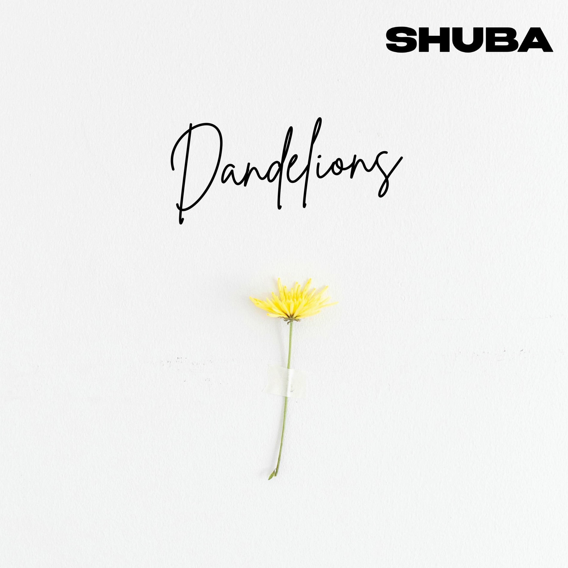 Album cover of Dandelions