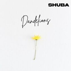 Dandelions